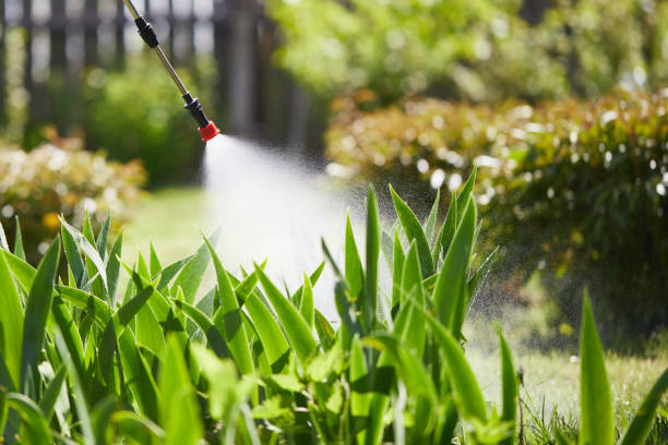 24/7 Emergency Cockroach Control experts in Refugio, TX